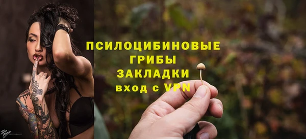 дживик Белоозёрский