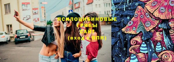 дживик Белоозёрский