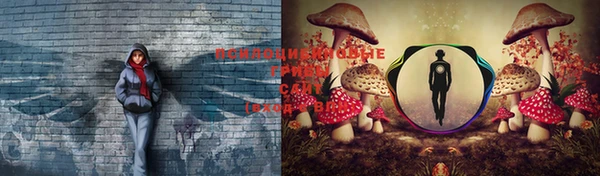 марки lsd Липки